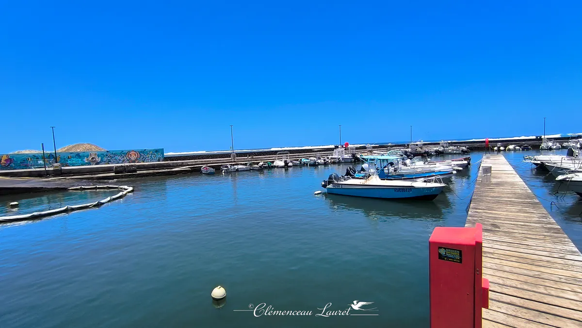 Bassin du port de plaisance bordé par une digue décorée de fresques sous un grand ciel bleu.