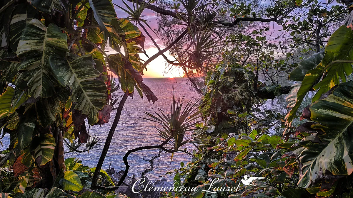 Vue sur l'Océan Indien au coucher du soleil à Manapany à travers un cadre touffu de végétation tropicale.