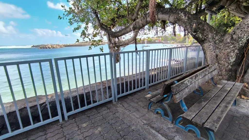 Deux bancs en bois installés sous un arbre derrière une barrière métallique face au lagon.