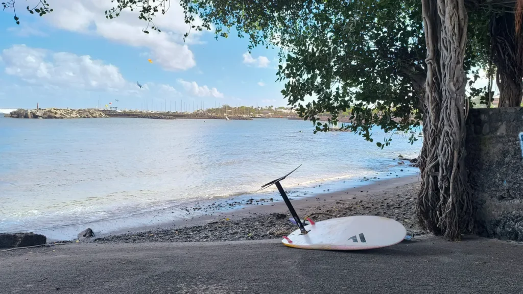 Planche de wing foil posée sur du sable noir à l'ombre d'un grand banyan
