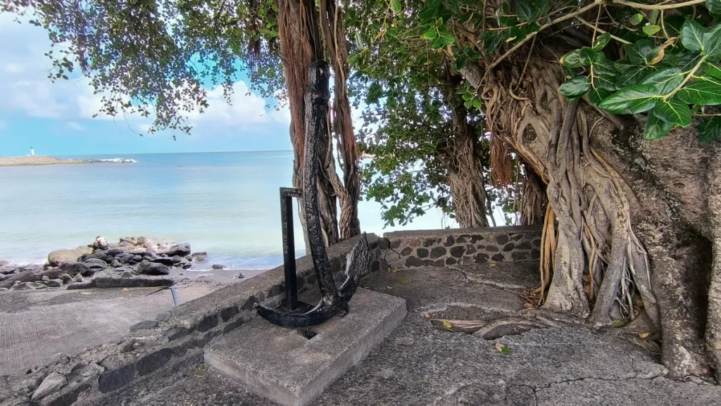 Ancre de marine en fer noir posée sous le tronc imposant d'un banyan