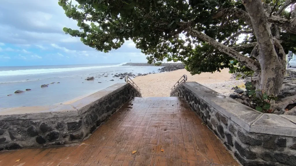 Escalier d'accès en pierre menant à une plage de sable blond sous un arbre