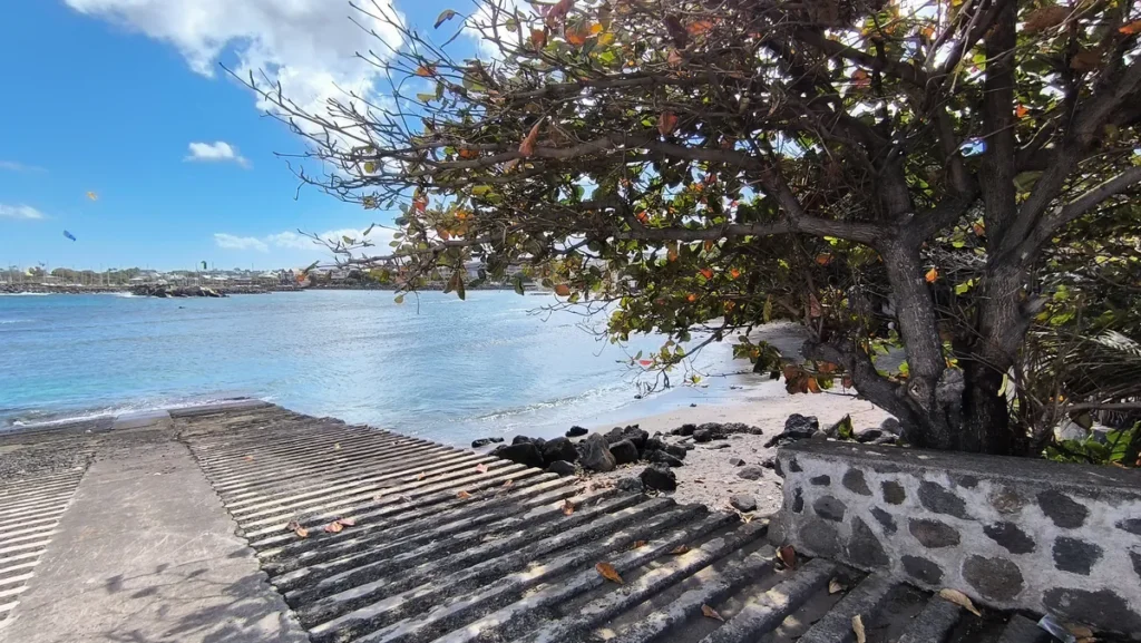 Rampe de mise à l'eau en béton strié sous l'ombrage d'un grand arbre feuillu donnant sur une baie calme.