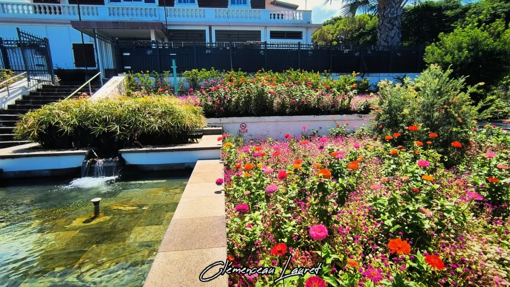 Gros plan sur les parterres de fleurs multicolores dominés par des zinnias aux teintes éclatantes de rose, d'orange et de rouge, bordant un bassin d'eau rafraîchissant avec une petite cascade artificielle devant le bâtiment institutionnel de la Mairie des Avirons à La Réunion. Photo : Clémenceau Lauret.