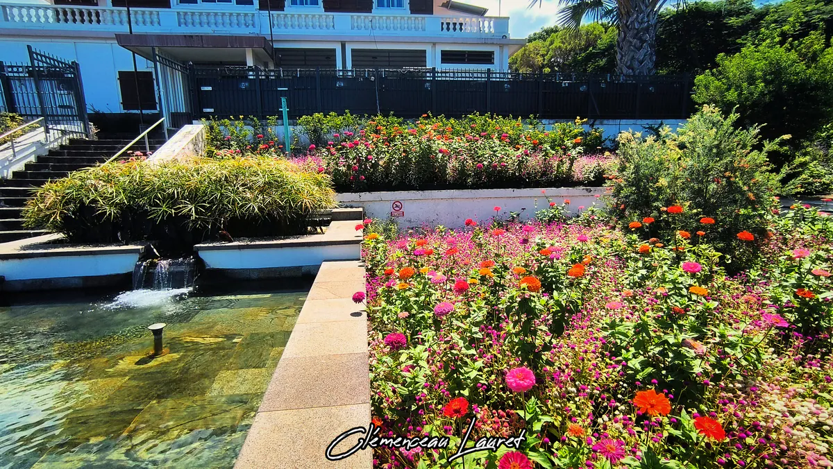 Gros plan sur les parterres de fleurs multicolores dominés par des zinnias aux teintes éclatantes de rose, d'orange et de rouge, bordant un bassin d'eau rafraîchissant avec une petite cascade artificielle devant le bâtiment institutionnel de la Mairie des Avirons à La Réunion. Photo : Clémenceau Lauret.
