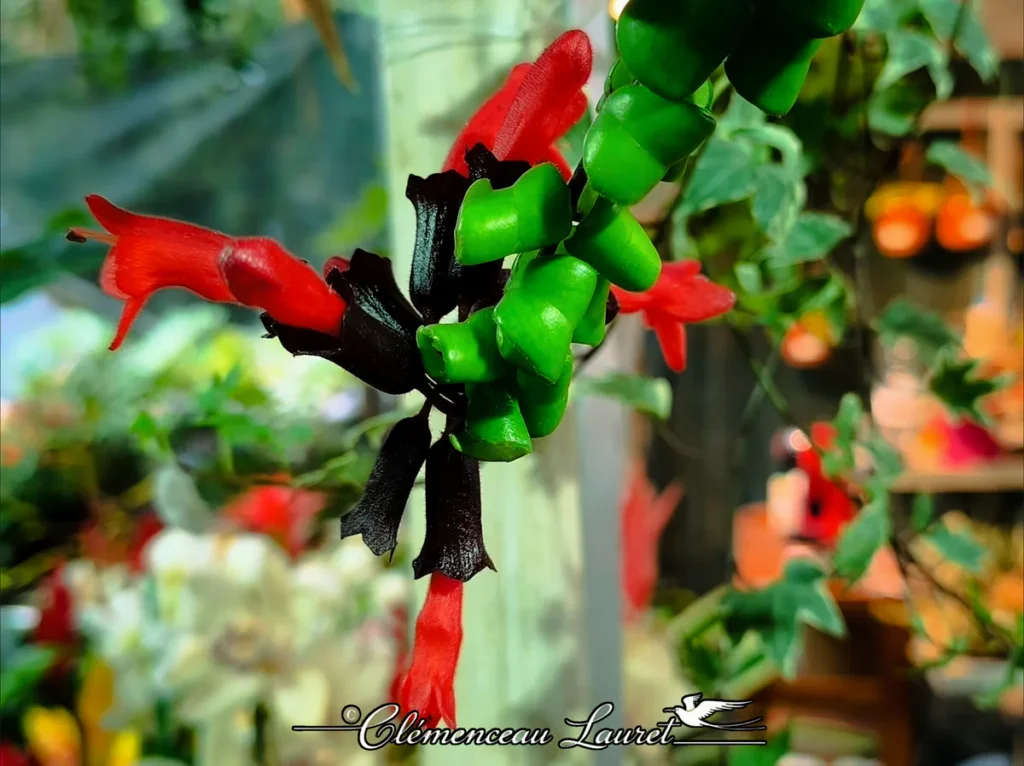 Vue en contre-plongée des calices sombres et des fleurs rouge écarlate d'un Aeschynanthus à La Réunion.
