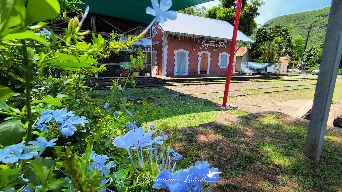 Fleurs bleues de plumbago au premier plan avec la gare historique et le dépôt ferroviaire à La Grande Chaloupe en arrière-plan.