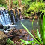 Chute d'eau rectangulaire s'écoulant sur de la roche basaltique noire avec des feuilles de vacoa au premier plan à Cilaos