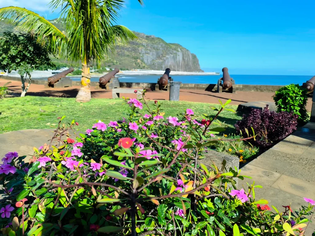 Massif de fleurs tropicales aux nuances roses et rouges au premier plan sur l'esplanade du Barachois à Saint-Denis de La Réunion, dévoilant la perspective sur la rangée de canons et la falaise imposante de la Route du Littoral à l'horizon — Photo : Clémenceau Lauret