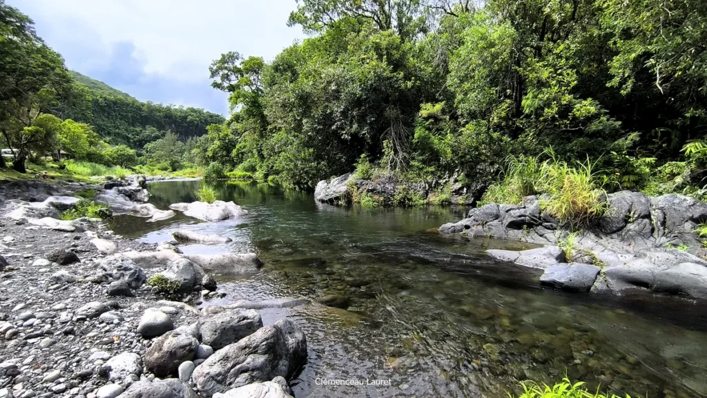 Plan large des eaux limpides du bassin Dinan bordé de roches basaltiques sombres et d'une végétation luxuriante le long du cours d'eau, au bassin Dinan à Langevin, Saint-Joseph, île de La Réunion. Photographie réalisée par Clémenceau Lauret (CC BY-SA 4.0).