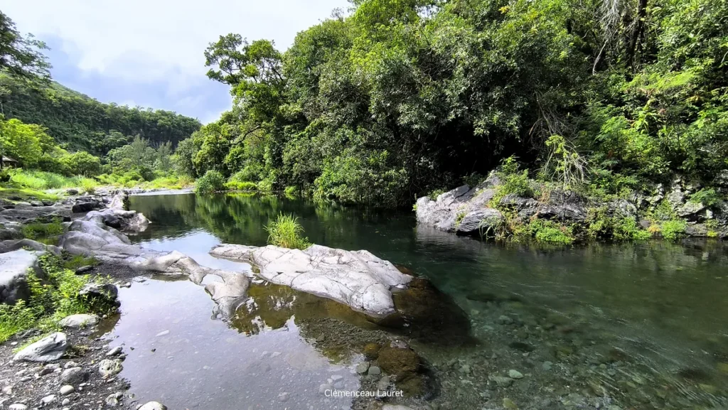 Perspective en contre-bas montrant la transparence de l'eau douce et le lit de galets de la rivière au bassin Dinan à Langevin, Saint-Joseph, île de La Réunion. Photographie réalisée par Clémenceau Lauret (CC BY-SA 4.0).