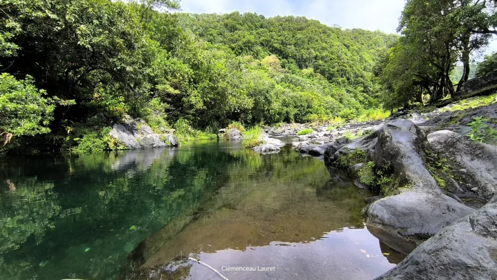 Réflexion de la végétation tropicale et de la falaise verdoyante dans l'eau paisible du bassin Dinan à Langevin, Saint-Joseph, île de La Réunion. Photographie réalisée par Clémenceau Lauret (CC BY-SA 4.0).