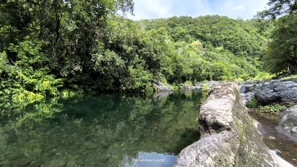Vue rapprochée de la berge rocheuse et des reflets émeraude de la rivière au bassin Dinan à Langevin, Saint-Joseph, île de La Réunion. Photographie réalisée par Clémenceau Lauret (CC BY-SA 4.0).