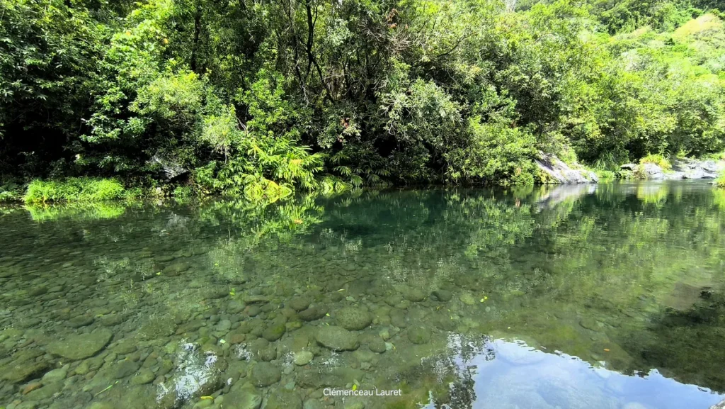 Gros plan sur la clarté exceptionnelle de l'eau laissant entrevoir le fond tapissé de galets lisses au bassin Dinan à Langevin, Saint-Joseph, île de La Réunion. Photographie réalisée par Clémenceau Lauret (CC BY-SA 4.0).