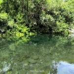 Gros plan sur la clarté exceptionnelle de l'eau laissant entrevoir le fond tapissé de galets lisses au bassin Dinan à Langevin, Saint-Joseph, île de La Réunion. Photographie réalisée par Clémenceau Lauret (CC BY-SA 4.0).