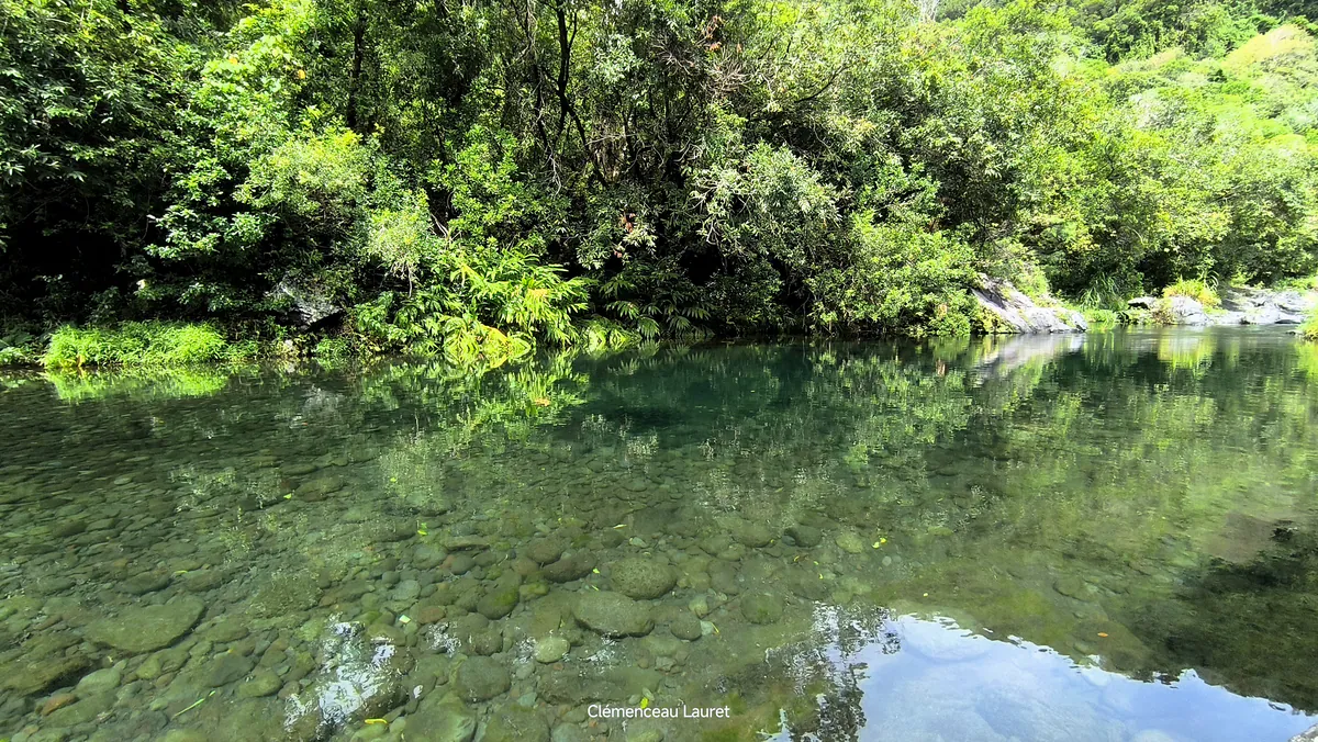 Gros plan sur la clarté exceptionnelle de l'eau laissant entrevoir le fond tapissé de galets lisses au bassin Dinan à Langevin, Saint-Joseph, île de La Réunion. Photographie réalisée par Clémenceau Lauret (CC BY-SA 4.0).