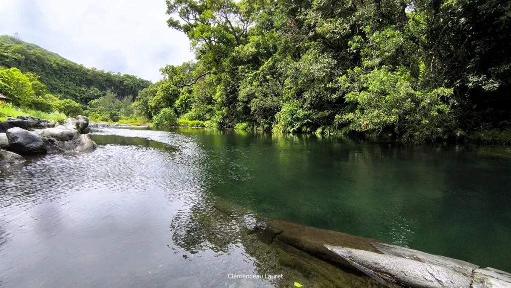 Panorama du calme du plan d'eau entouré d'arbres tropicaux et de parois rocheuses au bassin Dinan à Langevin, Saint-Joseph, île de La Réunion. Photographie réalisée par Clémenceau Lauret (CC BY-SA 4.0).