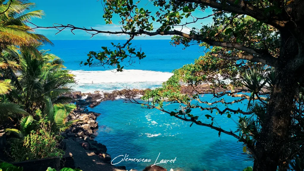 Cadre végétal de palmiers et vacoas surplombant le bassin turquoise de Manapany à Saint-Joseph sous un grand soleil radieux.