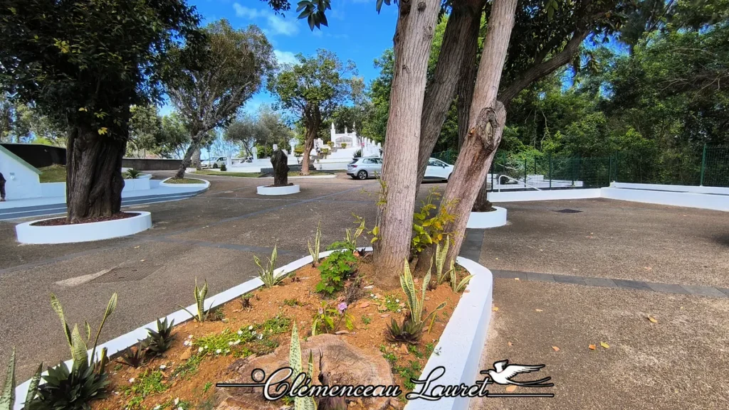 Vue d'ensemble de l'esplanade aménagée du Calvaire de Petite-Île à La Réunion. Au premier plan, parterre végétalisé ceinturé de murets blancs et planté de plantes grasses type sansevieria. Au second plan, de grands arbres ombragent le sol goudronné, avec des murets peints en blanc structurant l'espace. En arrière-plan, la structure blanche du calvaire se dresse sous un ciel bleu parsemé de légers nuages. - Photo : Clémenceau Lauret (Licence CC BY-SA 4.0)