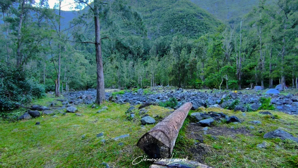 Tronc coupé au sol ouvrant sur une zone de campement bordée de rochers et de montagnes à Cap Blanc à Saint-Joseph sous un ciel mitigé.