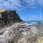 Falaise basaltique sombre et route littorale sécurisée longeant l'océan Indien au secteur du Cap Noir et Cap La Houssaye à Saint-Paul, cadrée à travers des branches sèches sous un ciel bleu. Photo : Clémenceau Lauret (CC BY-SA 4.0)