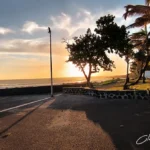 Promenade aménagée du littoral de Grand-Bois à Saint-Pierre avec des arbres en contre-jour, des véhicules stationnés et la mer scintillante sous une douce lumière d'un fin de journée, cliché de Clémenceau Lauret (CC BY-SA 4.0).