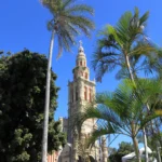 Plan large montrant les palmiers tropicaux s'élevant devant l'église baroque de Saint-Benoît.