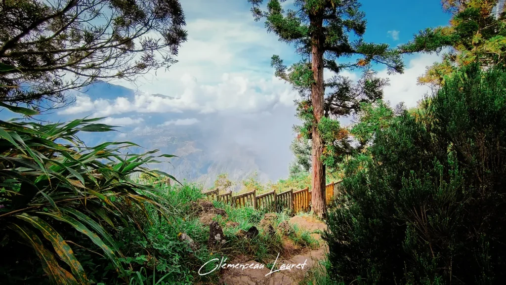 Vue plongeante depuis un sentier de randonnée à La Fenêtre des Makes, Saint-Louis, montrant une végétation dense, un grand tronc d'arbre vertical et une barrière en bois menant vers le cirque de Cilaos partiellement noyé dans la brume.