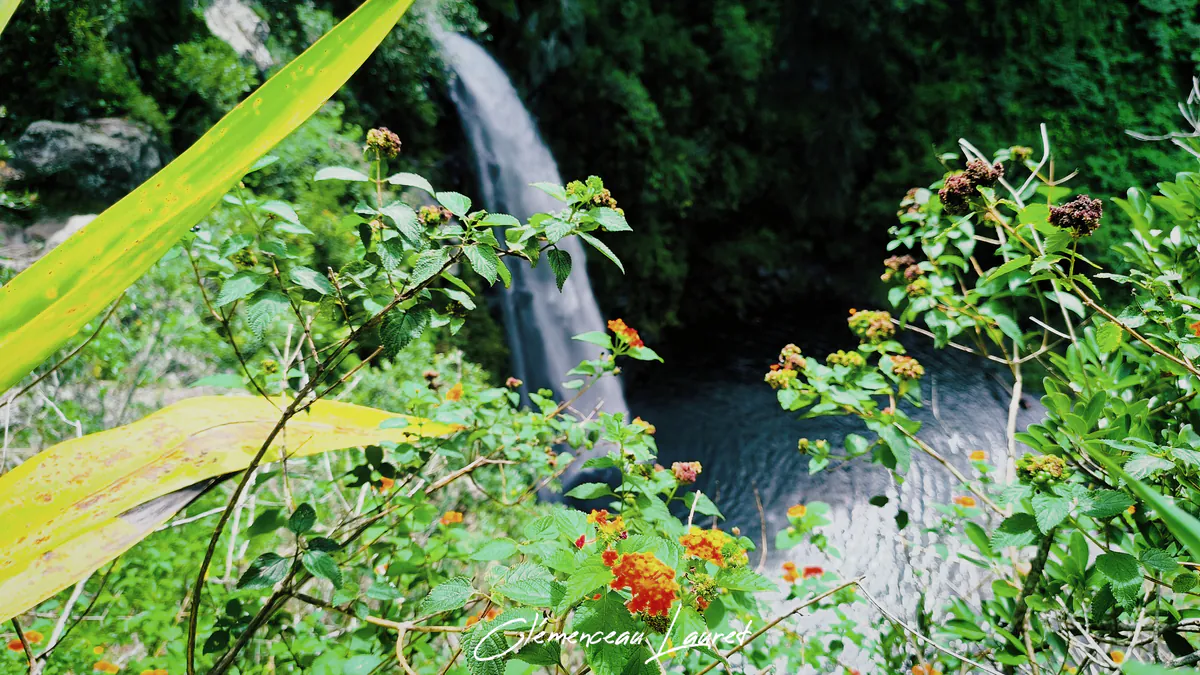 Randonnée à Grand Bassin à La Réunion : Belvédère de Bois Court, Cascades & Ilet du Tampon