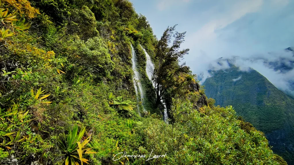 Cascade ruisselant le long d'un rempart végétalisé de montagne sous la brume à Grand Bassin.