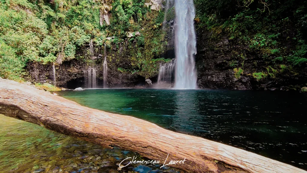 Angle rasant sur le tronc de bois mort traversant les eaux émeraudes du bassin à Grand Bassin, La Réunion.