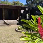 Inflorescence d'alpinia rouge vif au premier plan devant un ancien bâtiment en bois à l'Îlet Bethléem à Saint-Benoît.