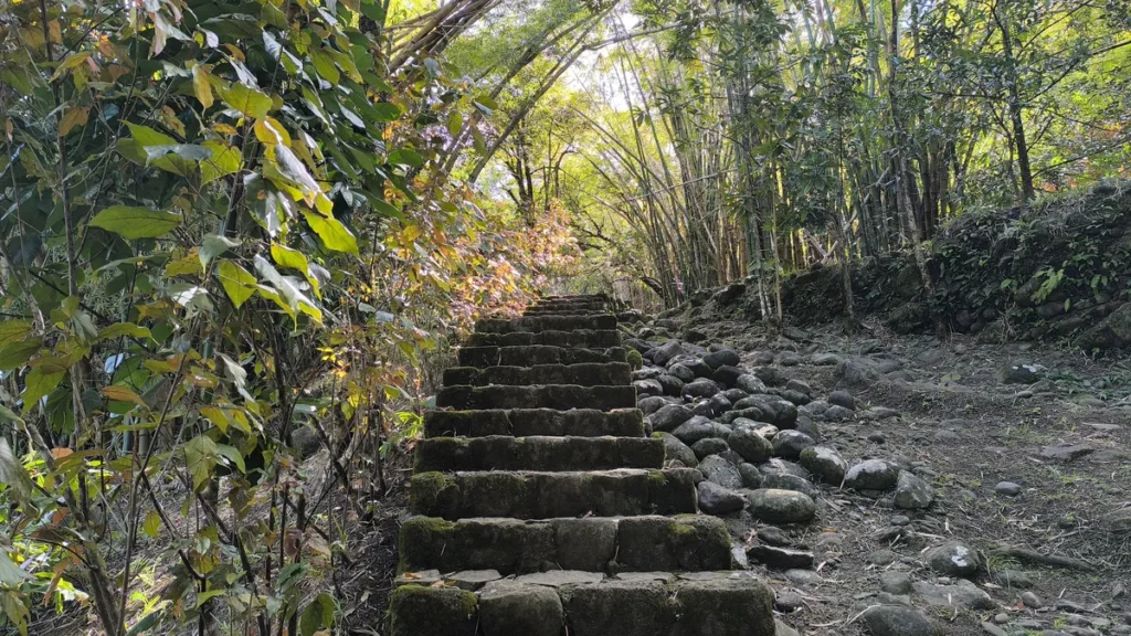Escalier en pierre de taille pavé grimpant sous une voûte de bambous à l'Îlet Bethléem à Saint-Benoît.