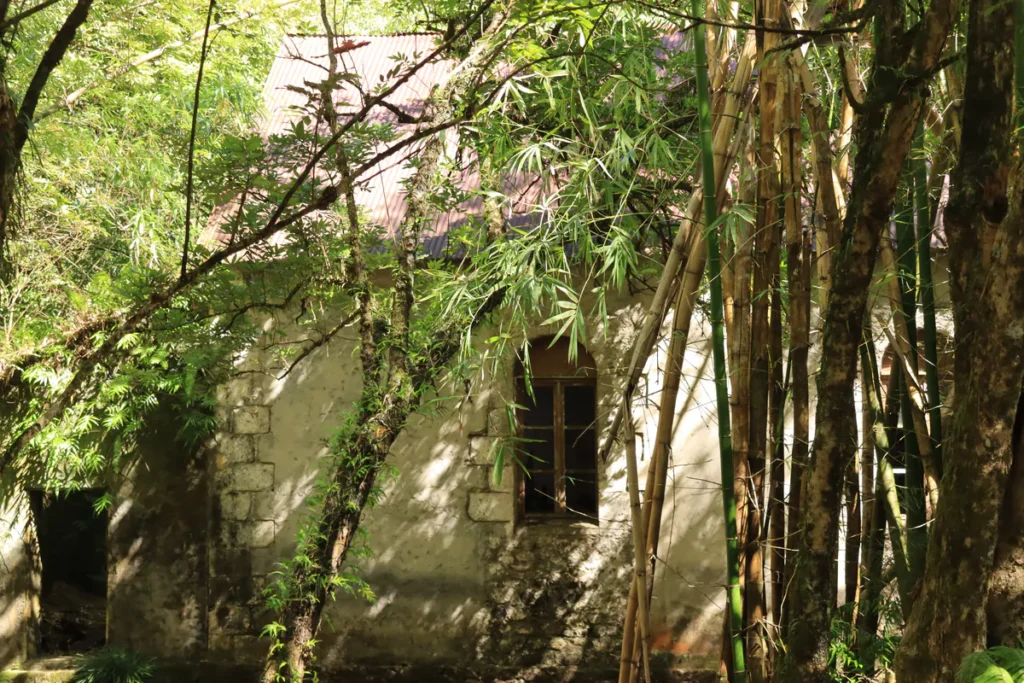 Gros plan sur une fenêtre à cintre de la chapelle en pierre à l'Îlet Bethléem à Saint-Benoît entourée de végétation.
