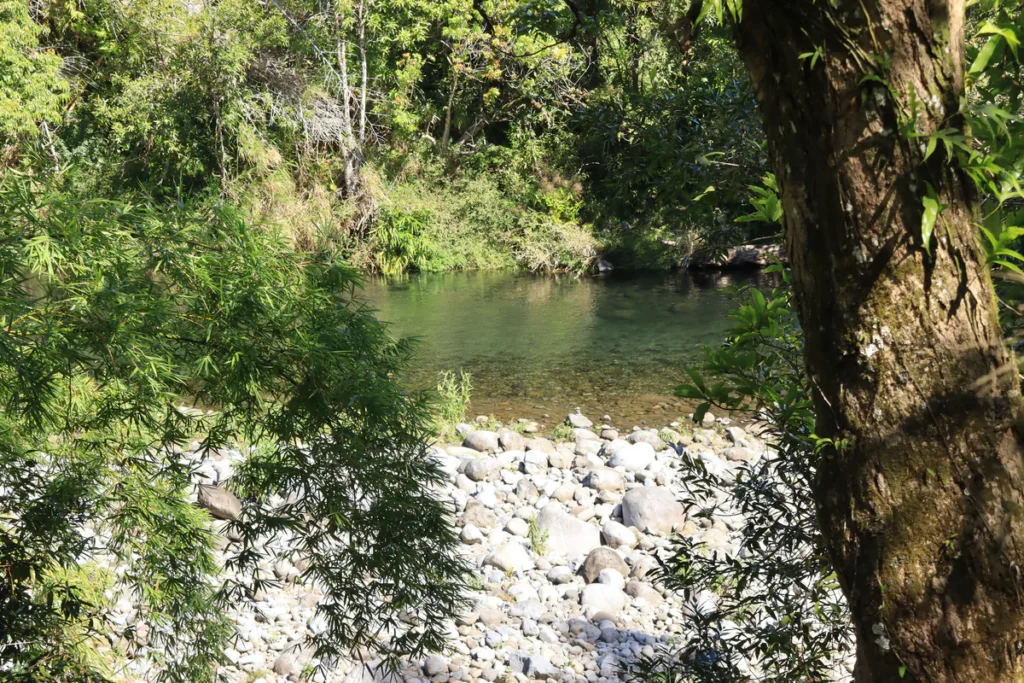 Rivière des Marsouins aux eaux claires bordée de galets de basalte à l'Îlet Bethléem à Saint-Benoît.
