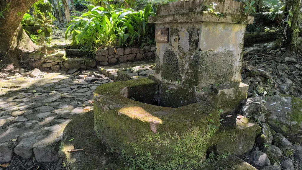 Fontaine en pierre couverte de mousse avec plaque 'Eau Potable' sur un chemin pavé à Saint-Benoît