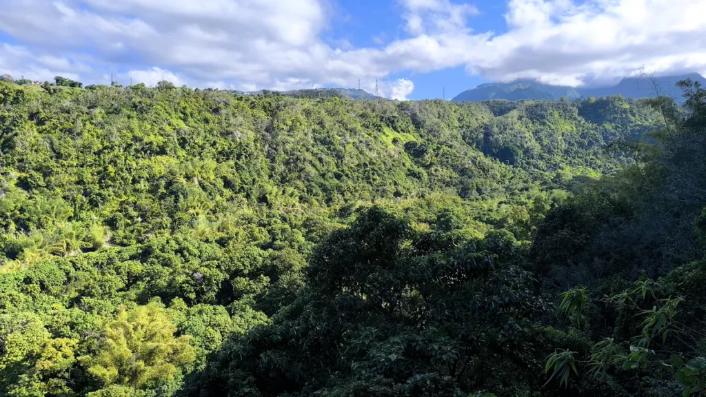 Panorama sur la canopée dense et les montagnes végétalisées sous un ciel bleu nuageux à Saint-Benoît