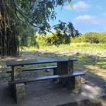 Table de pique-nique en béton au bord du lit rocheux de la Rivière des Marsouins à Saint-Benoît