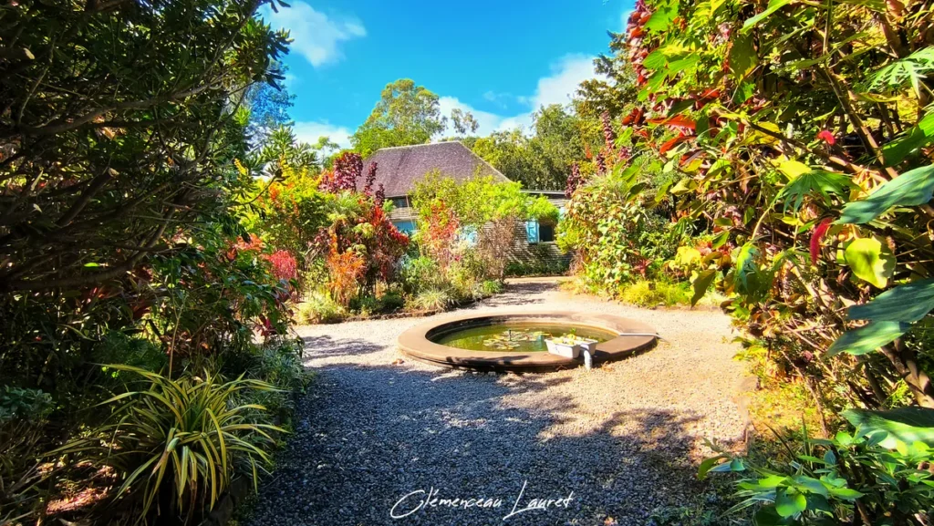 Allée en gravier menant au bassin du jardin de Villèle à Saint-Paul encadrée d'arbustes tropicaux sous le soleil.