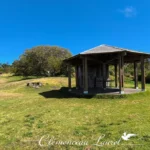 Kiosque en bois aménagé pour le pique-nique et le repos des randonneurs au cœur d'une clairière verdoyante sur le plateau du Dimitile à l'Entre-Deux, Île de La Réunion — Photo : Clémenceau Lauret (CC BY-SA 4.0).
