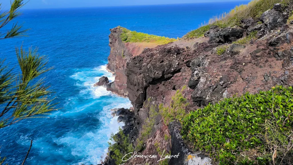 Cap volcanique teinté de rouge et de basalte noir dominant la mer bleue avec des branches de filaos au premier plan à Petite-Île.