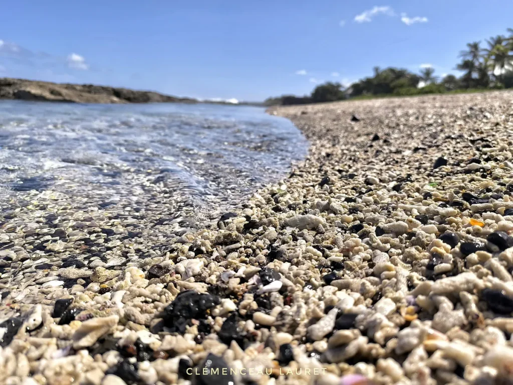 Gros plan détaillé sur les débris de corail blanc et la roche basaltique noire à la plage de Grand Bois à Saint-Pierre