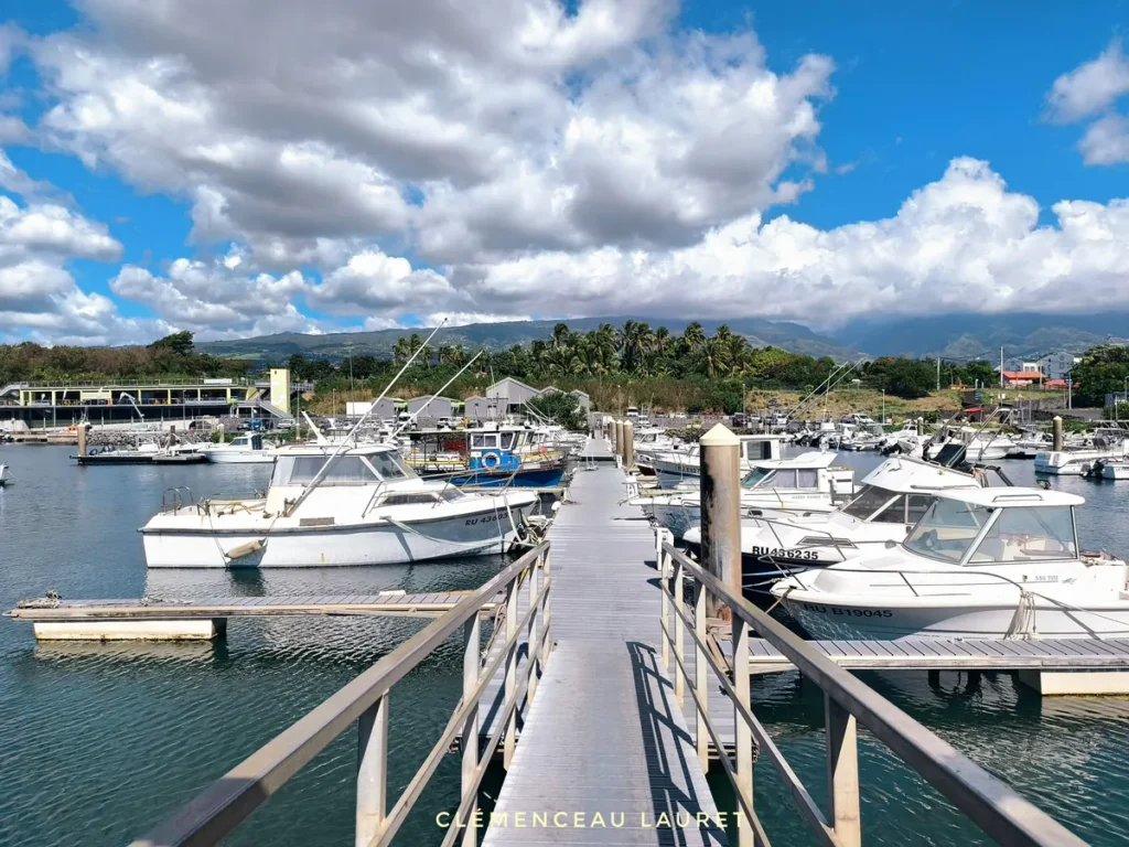 Ponton flottant en aluminium bordé de bateaux de plaisance au port Maperine à Sainte-Marie sous un ciel nuageux