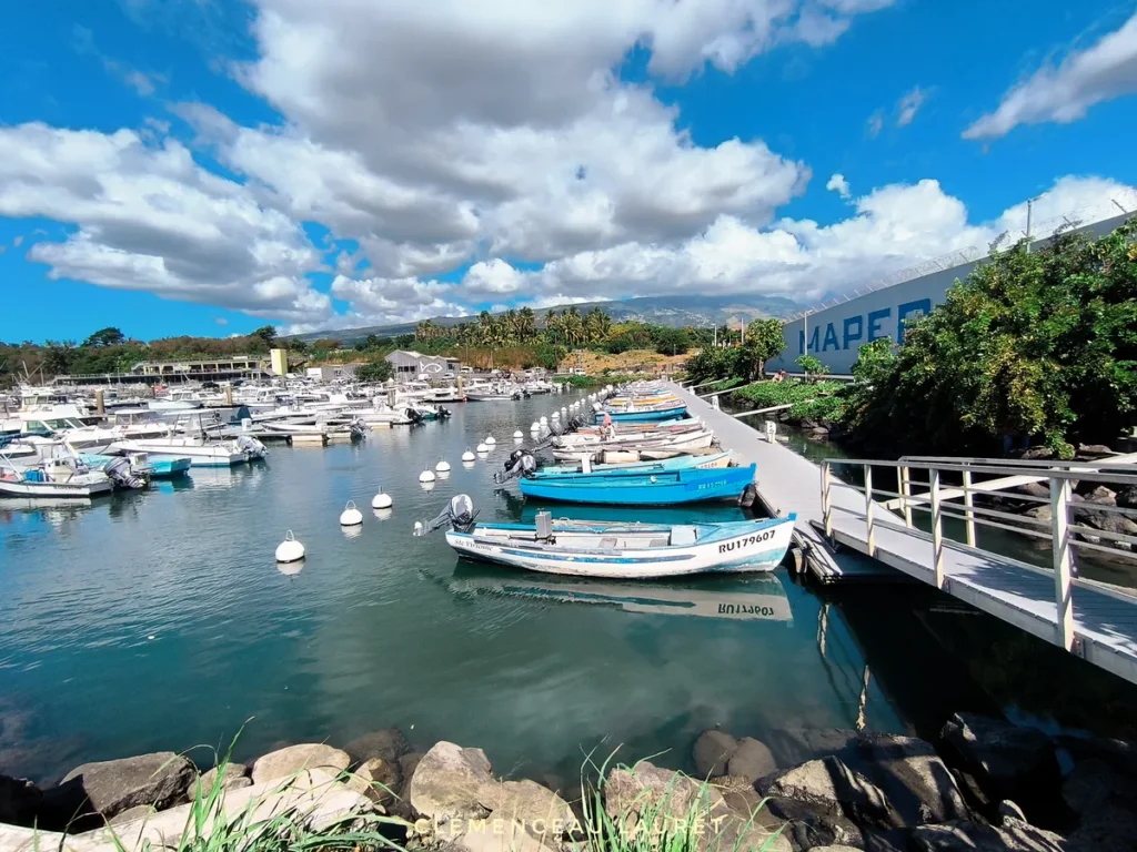 Barques de pêche colorées amarrées aux bouées dans le bassin calme du port Maperine à Sainte-Marie