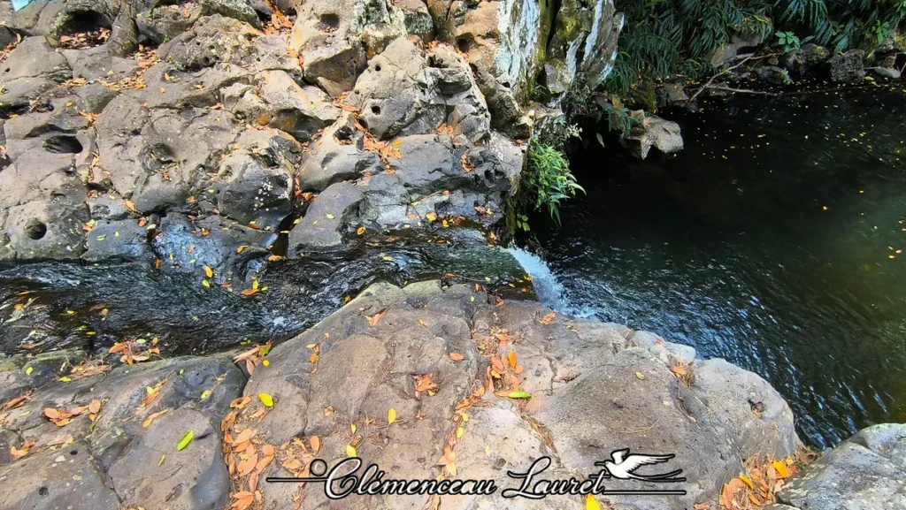 Vue en plongée sur une petite cascade se déversant dans un bassin sombre bordé de dalles de basalte et de feuilles mortes à l'Entre-Deux.
