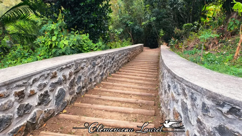 Escalier aménagé en bois et pierres maçonnées descendant à travers une forêt tropicale dense sous une lumière tamisée à l'Entre-Deux.