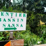 Panneau indicateur blanc écrit en vert indiquant 'SENTIER BASSIN SASSA' entouré d'une végétation tropicale à l'Entre-Deux.