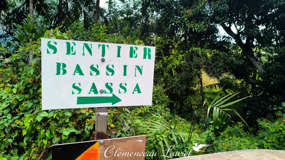 Panneau indicateur blanc écrit en vert indiquant 'SENTIER BASSIN SASSA' entouré d'une végétation tropicale à l'Entre-Deux.