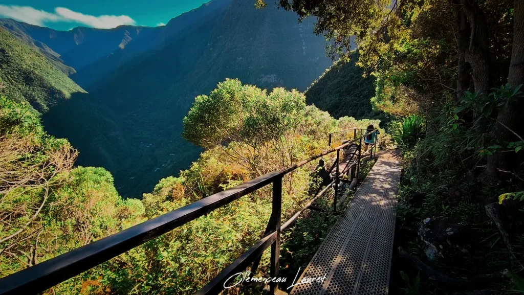 Passerelle en caillebotis métallique longeant la falaise ombragée sur le sentier de Bois Court.