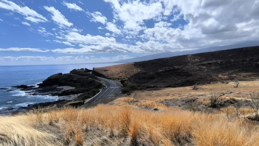 Vue panoramique en hauteur de la route sinueuse du littoral bordée par la savane dorée et les falaises basaltiques à Saint-Paul.